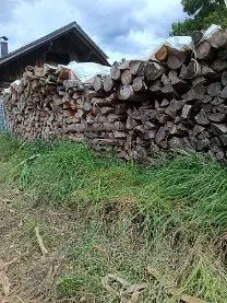 Brennholz Brennholz Buche