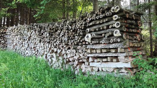 Brennholz Fichte