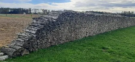 Brennholz Brennholz Birke