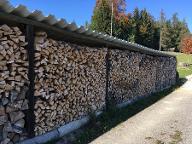 Brennholz Buche