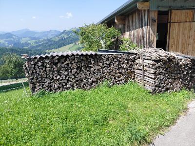 Brennholz Esche
