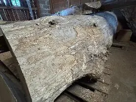 Rundholz Rundholz Kastanie Edelkastanie