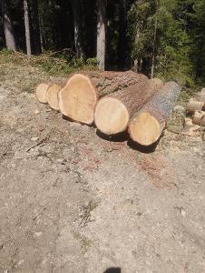 Rundholz Lärche Teilweise Astrein