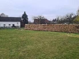 Brennholz Brennholz Esche, Eiche, Ahorn