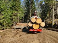 Rundholz Fichte Tanne gemischt Rosenau am Hengstpaß