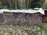 Brennholz Esche, Eiche, Ahorn