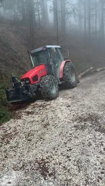 Dienstleistung Holzschlägerung Haslinger
