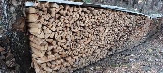 Brennholz Esche, Sonstiges Holz gelagert, Hartholz, Kachelofenholz