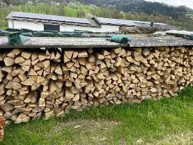 Brennholz Brennholz Esche Keine