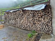 Brennholz Esche, Ahorn, Buche