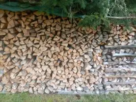 Brennholz Brennholz Esche