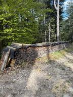 Brennholz Fichte Waidmannsfeld