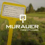 ad Murauer Forstpflanzen