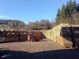 Brennholz Brennholz Esche, Buche