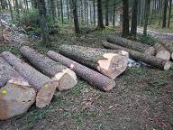 Rundholz Tanne Starkholz über 60cm dm Ottnang