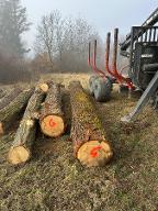 Rundholz Eiche Astrein Schiltern