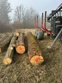 Rundholz Rundholz Eiche Astrein