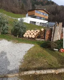 Brennholz Brennholz Douglasie, Eibe, Fichte