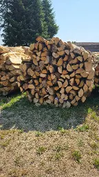 Brennholz Birke, Eiche, Buche Hartholz gemischt Langegg