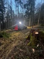 Dienstleistung Haslinger holzschlägerung  (Holzernte & Rückung, Jungwaldpflege, Brennholz: Produktion/Handel)