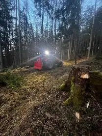 Dienstleistung Haslinger holzschlägerung 