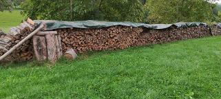 Brennholz Fichte