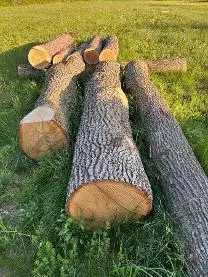 Rundholz Rundholz Eiche