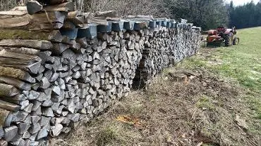 Brennholz Brennholz Esche