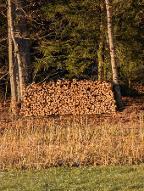 Brennholz Fichte, Sonstiges Holz