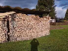 Brennholz Brennholz Esche