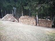 Brennholz Fichte, Kiefer
