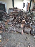 Rundholz Birke Astrein