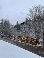 Rundholz Fichte Fichte+tanne Welschnofen