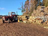 Brennholz Fichte, Tanne