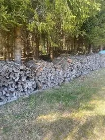 Brennholz Brennholz Buche