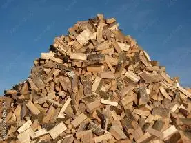 Brennholz Brennholz Fichte, Apfel, Eiche Brennholz Eiche, Ofenholz, Holzscheiter Wolfsberg,