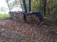 Brennholz Esche, Eiche, Buche