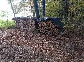 Brennholz Brennholz Esche, Eiche, Buche