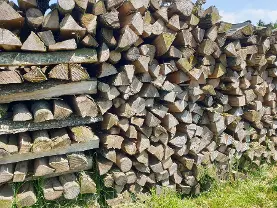 Brennholz Brennholz Esche