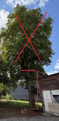 Rundholz Rundholz Kastanie