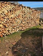 Brennholz Esche, Eiche, Buche