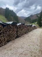 Buchen Brennholz St.Anton an der Jeßnitz