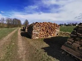 Brennholz Brennholz Fichte, Kiefer
