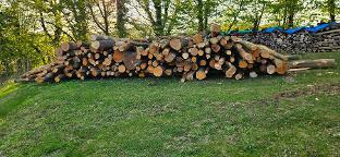 Rundholz Buche Gleisdorf