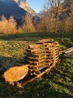 Schnittholz Nuss Astrein Bizau