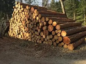 Dienstleistung Forstpower Dienstleistungen  (Umwelt- & Naturschutzdienstleistungen, Aufforstung, Forstliche Beratung & Planung, sonstige forstliche Dienstleistung, Holzernte & Rückung, Jungwaldpflege, Brennholz: Produktion/Handel)