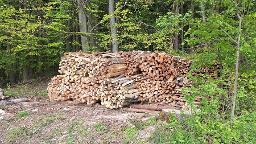 Brennholz Fichte, Esche, Buche