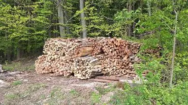 Brennholz Brennholz Fichte, Esche, Buche