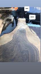 Schnittholz Nuss Bizau