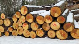 Rundholz Eiche Schnittholz 6–8 % Feuchte, Sortierung 0/1  ✔ Einze